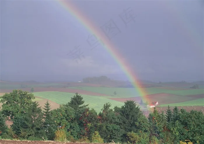 唯美彩虹和绿树风景图片