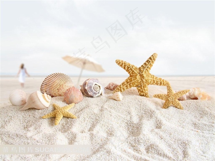 高清海边沙滩海星风景图片