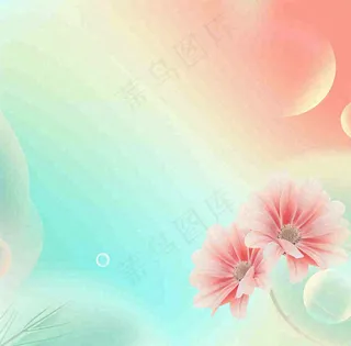 彩色简约鲜花花束郁金香渐变花朵