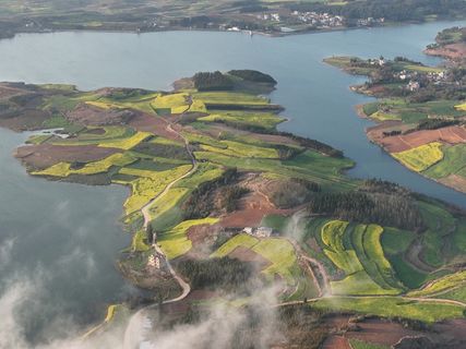 航拍罗平油菜花