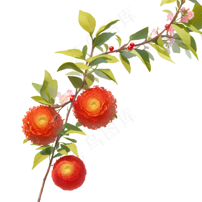 红色绿色免抠手绘素材PNG5植物花