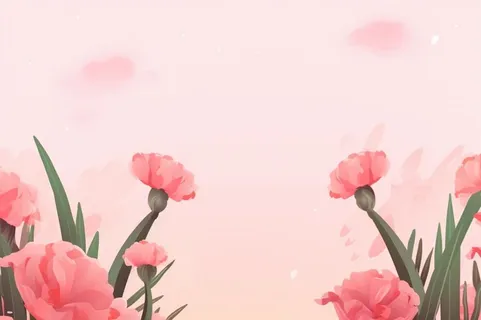 简约粉色康乃馨插画背景