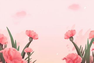 简约粉色康乃馨插画背景