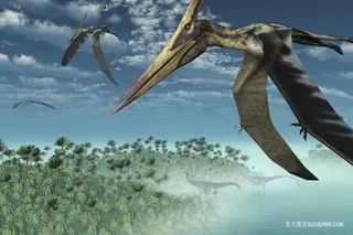 翅膀恐龙尖嘴龙