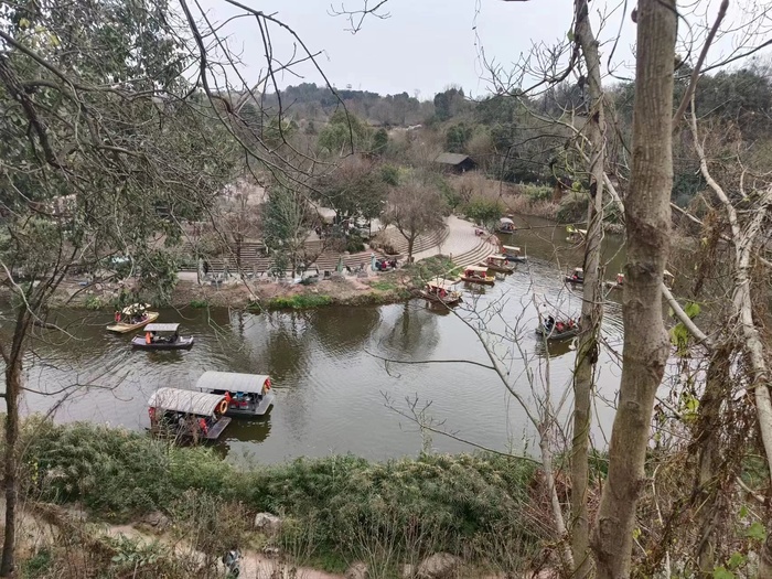 树木与湖面游船风景图