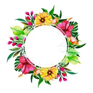 花框 PNG免抠