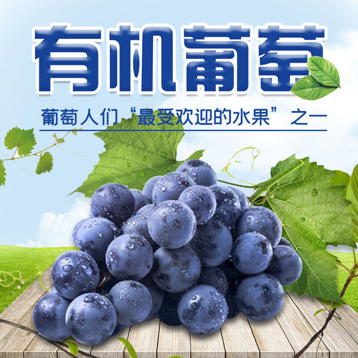新鲜水果电商首页海报主图PSD设计素材香蕉芒果脐橙详情主图装修模板psd模版下载