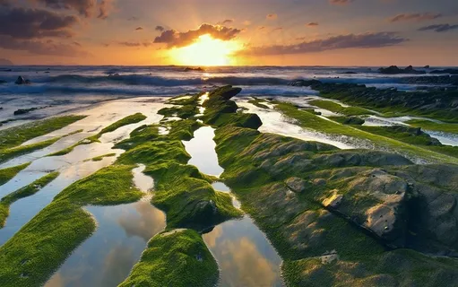 高清沼泽地自然风景摄影图片 高清沼泽地自然风景摄影图片