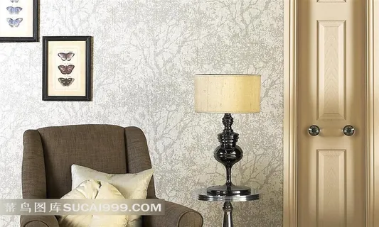 欧美室内效果图华美