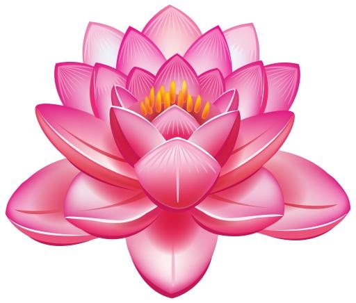 莲花 PNG免抠(4000x3414)
