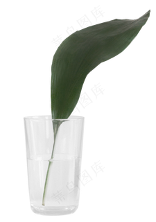 带绿叶的水杯