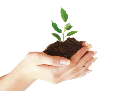 现代农业种植呵护