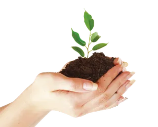 现代农业种植呵护