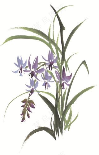 写意花卉艺术绘画素材