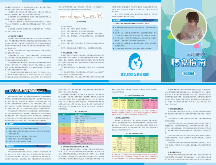 哺乳期妇女膳食指南四折页cdr矢量模版下载