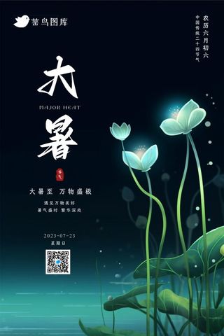 中国风大暑夜晚荷花节气海报