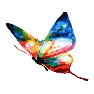 卡通动画动画蝴蝶免扣PNG手绘插画图片素材 (37)