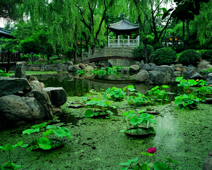 高清公园风景图片下载