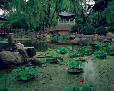 高清公园风景图片下载