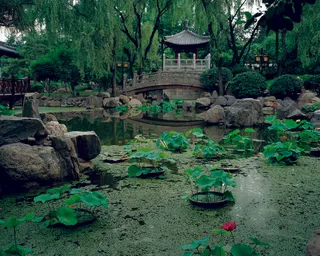 高清公园风景图片下载