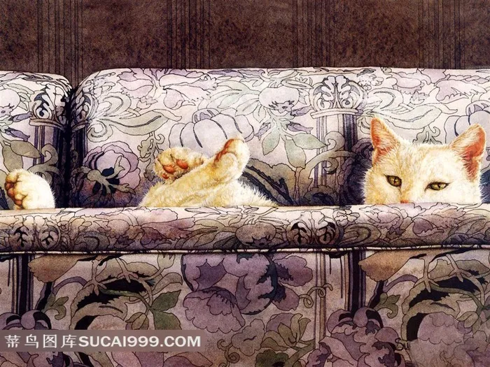 睡在华丽被窝里的小猫插画