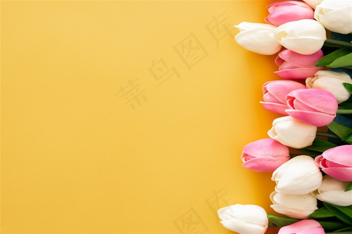 春季春天粉白色郁金香花束鲜花卉黄色桌面背景