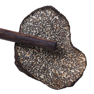 黑松露1超市商品白底图免抠实物摄影png格式图片透明底