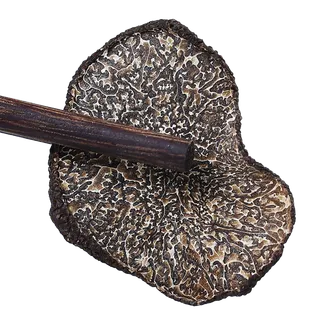 黑松露1超市商品白底图免抠实物摄影png格式图片透明底