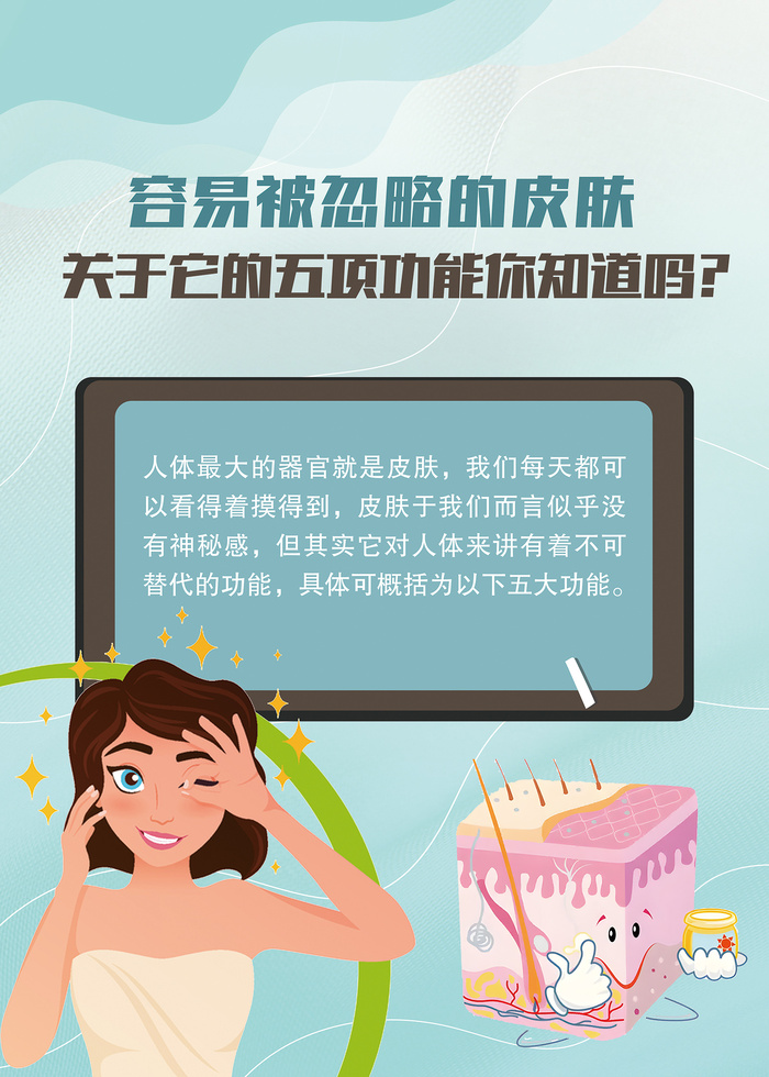 关于皮肤的功能知识海报