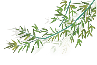 竹子水墨画中国风国画墨水书法竹子画