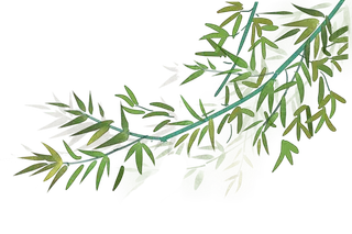 竹子水墨画中国风国画墨水书法竹子画