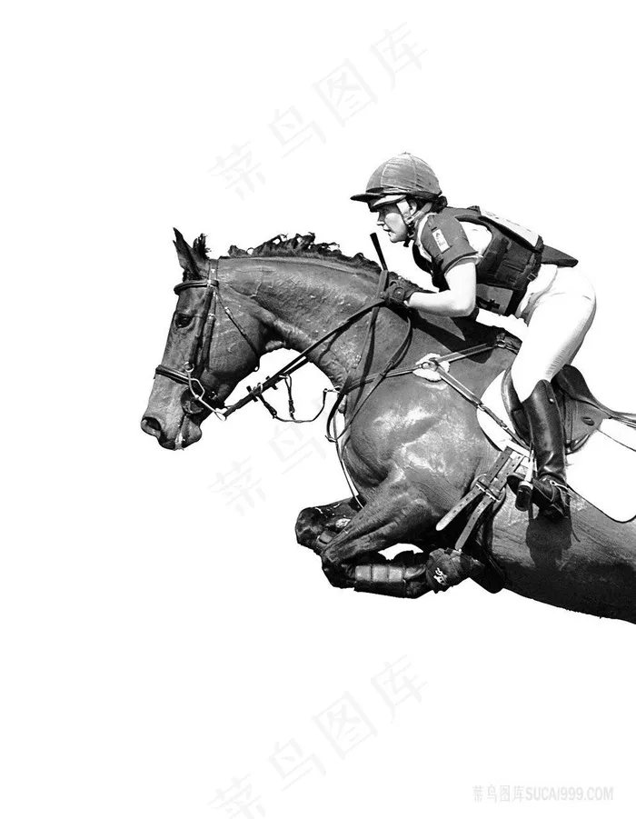 赛马骑士高清插画