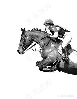 赛马骑士高清插画
