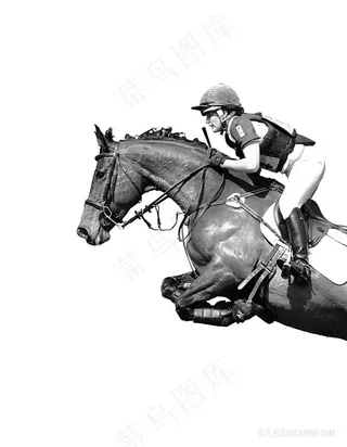 赛马骑士高清插画