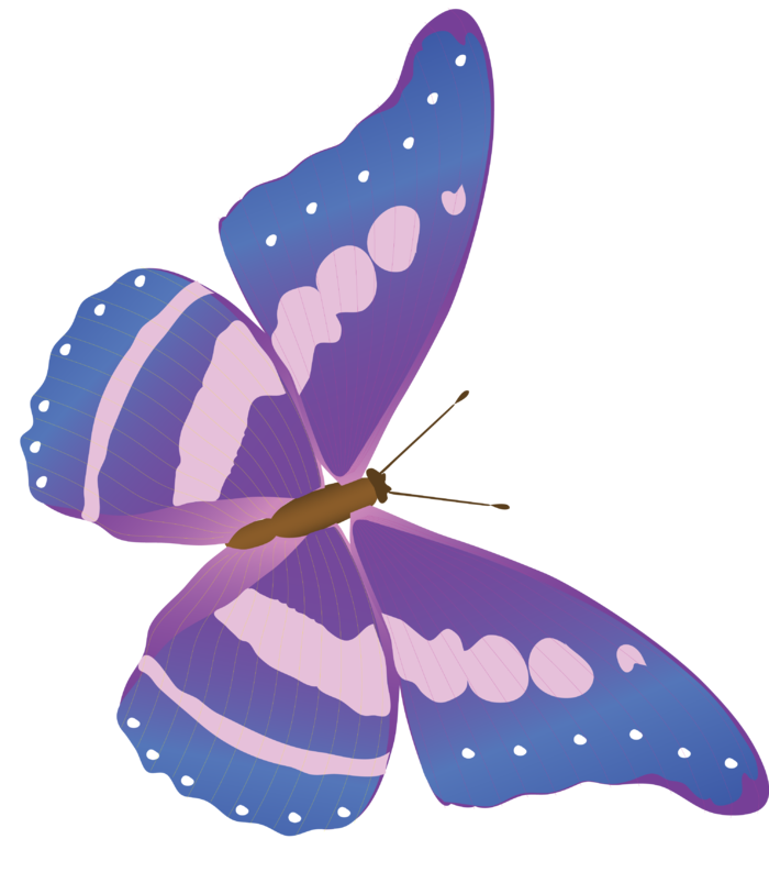 卡通动画动画蝴蝶免扣PNG手绘插画图片素材 (144)