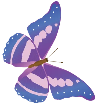 卡通动画动画蝴蝶免扣PNG手绘插画图片素材 (144)