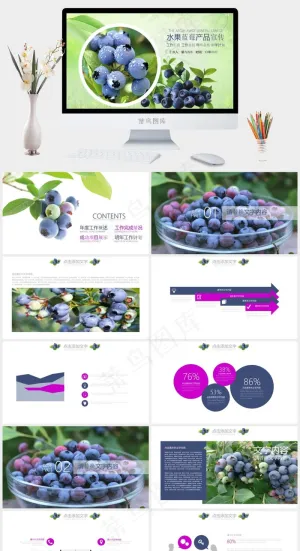 水果蓝莓产品宣传工作汇报PPT模板预览图