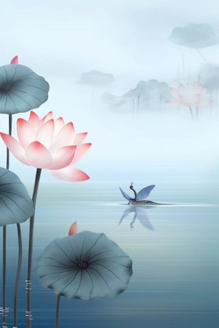 简约荷花朦胧美背景