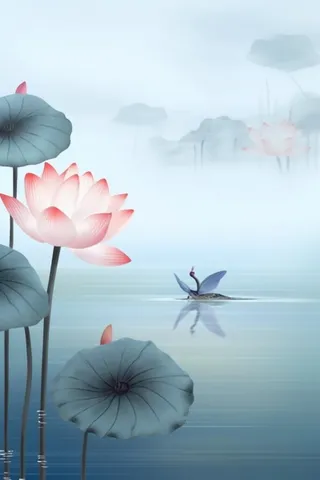 简约荷花朦胧美背景