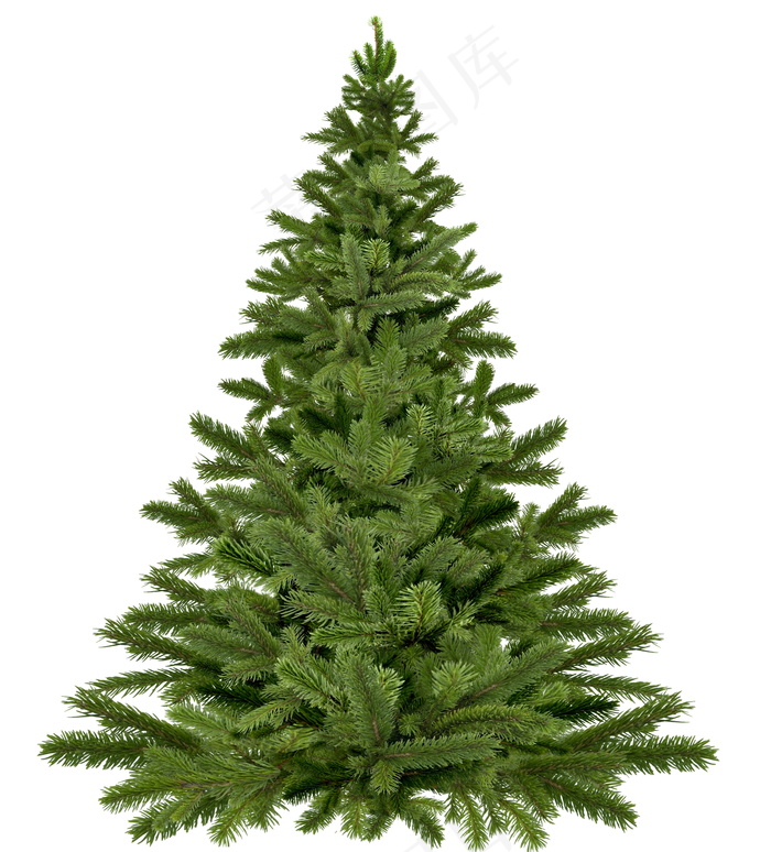 绿色圣诞树图片