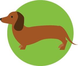 腊肠犬 PNG免抠(269x229)