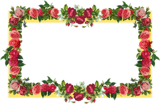 花环玫瑰花朵方形春季谷雨素材