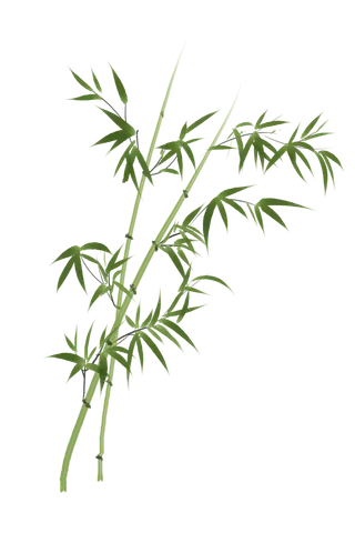 竹子水墨画中国风国画墨水书法竹子画