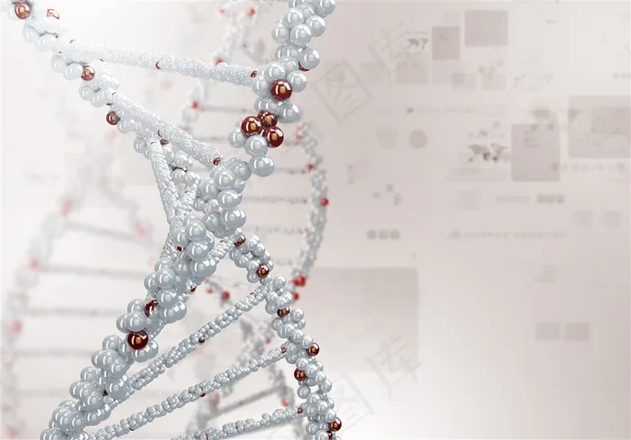 DNA和RNA结构示意高清图片
