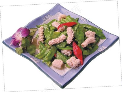 0316荷兰豆炒鱿鱼 0316荷兰豆炒鱿鱼