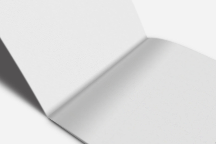 产品画册提案效果样机模板