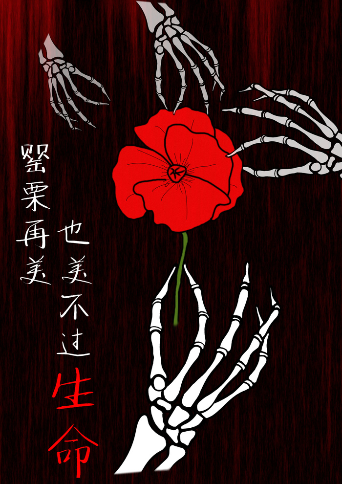 黑红罂栗骷髅国际禁毒日海报