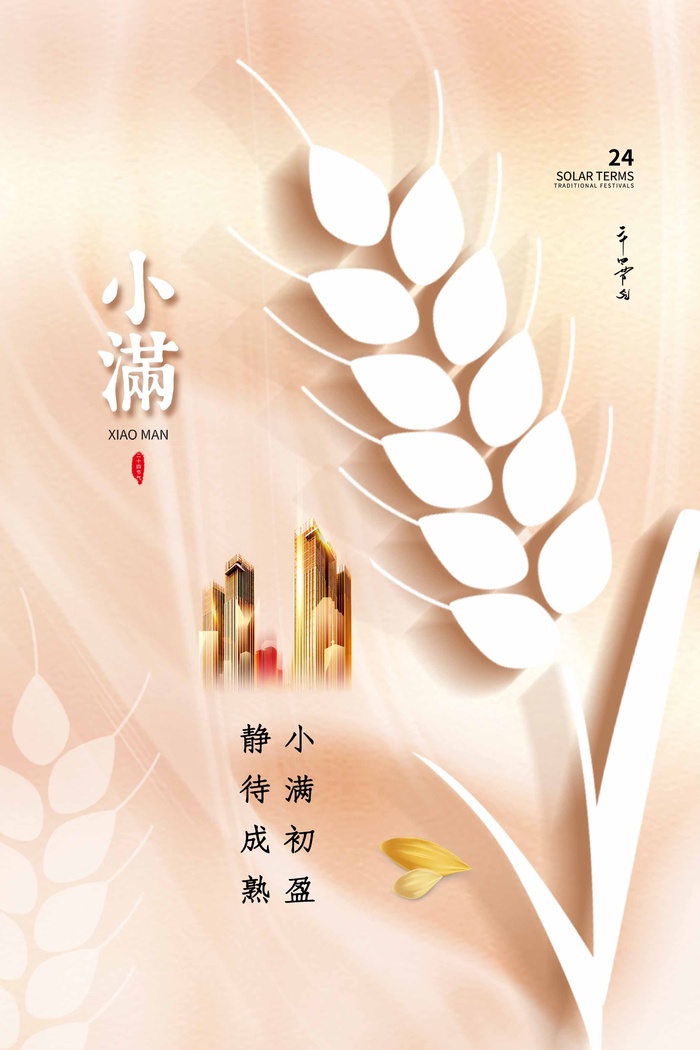 小满 二十四节气psd模版下载