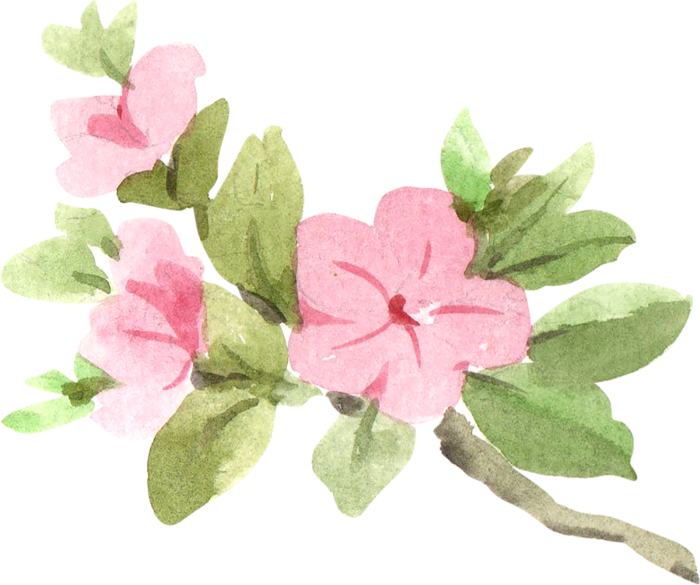 插画免抠高清素材