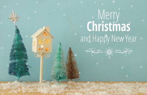 圣诞节新年快乐圣诞快乐装饰元素静物特写场景(76)